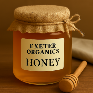 copilot 20260217 190746