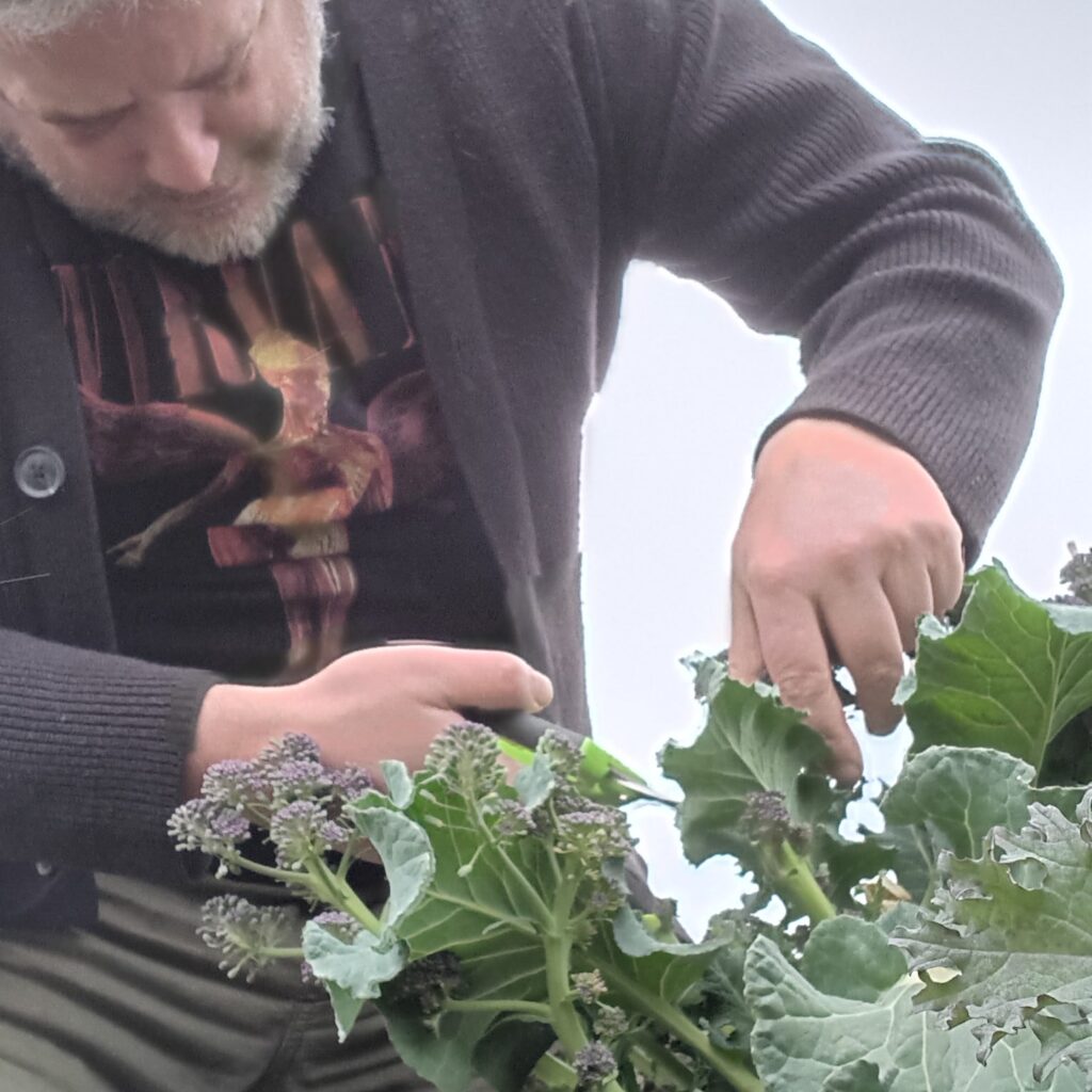 img 20240313 124714 041